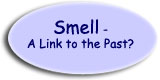 Smell - A Link to the Past