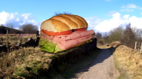 Big sandwich