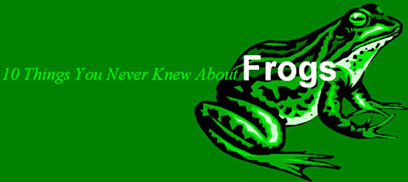 10 Things You Never Knew About Frogs