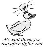 40 watt duck for use after lights-out