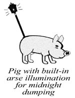 Pig with built-in arse illumination for midnight dumping