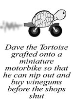 Dave the Tortoise Grafted onto a miniature motorbike so he can nip out and buy some wine gums before the shops shut