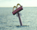 Ocean McDonalds