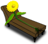 Flower on couch