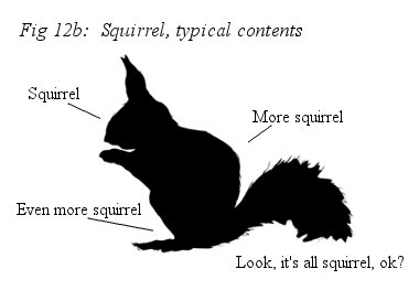 A squirrel, obviously