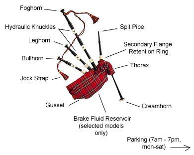 Bagpipes, Anatomy of