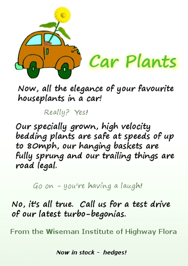 Car Plants