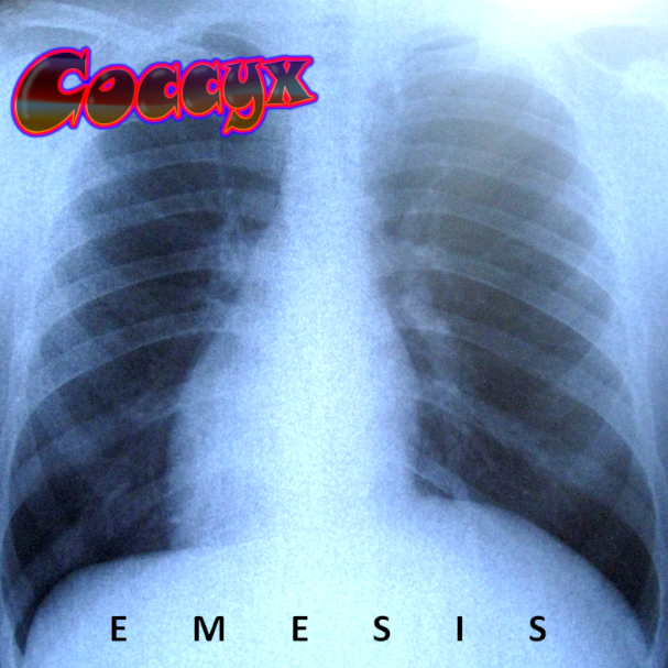 Coccyx: Emesis